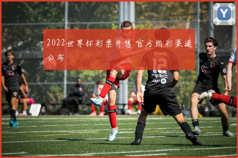 2022世界杯彩票开售 官方购彩渠道公布