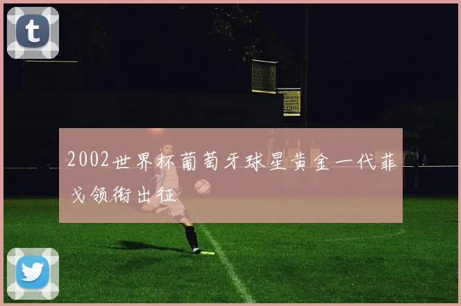 2002世界杯葡萄牙球星黄金一代菲戈领衔出征