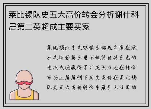 莱比锡队史五大高价转会分析谢什科居第二英超成主要买家